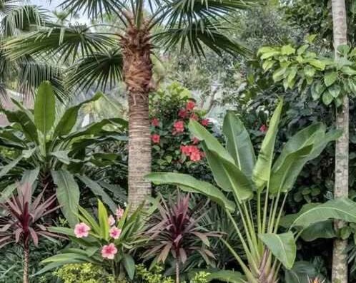 Jardin mélange 0667288754<div class="listing-provider-name">Mostapha Derraz</div>
