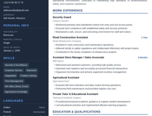 Customer Assistant<div class="listing-provider-name">Essouldy Adil</div>