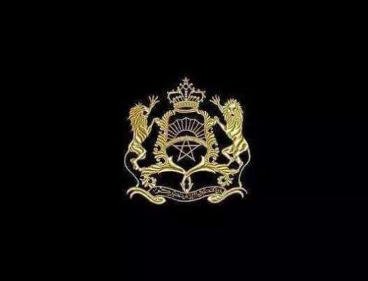 Coordination de service client et suivi des KPI<div class="listing-provider-name">elkouch jalal</div>
